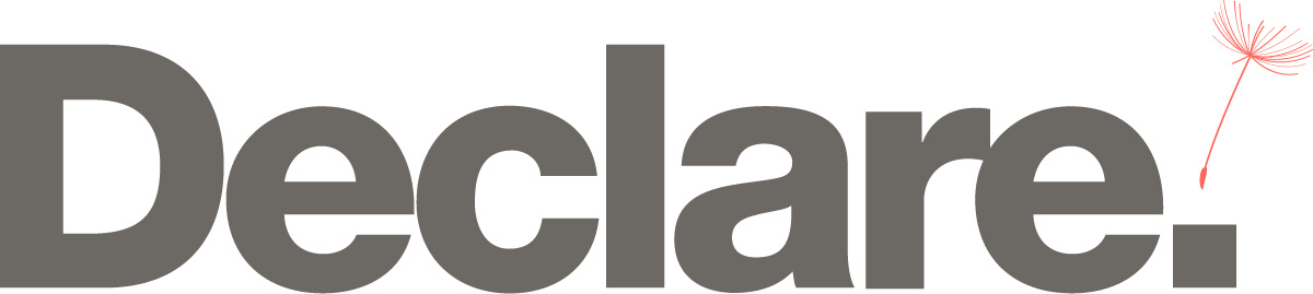 Declare logo